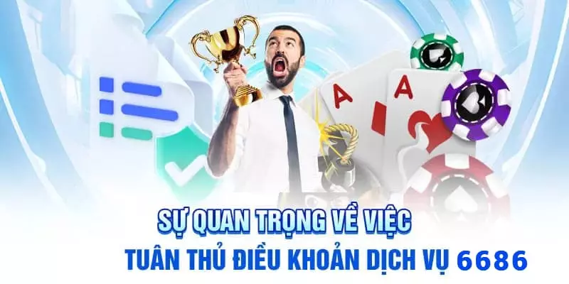 Tầm quan trọng của các điều khoản 6686